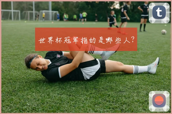 世界杯冠军指的是哪些人?