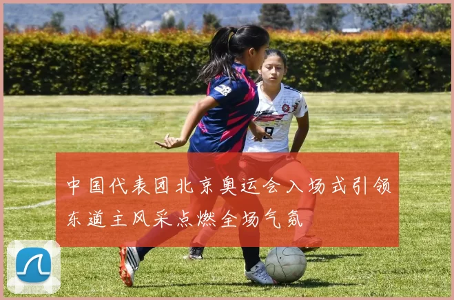 中国代表团北京奥运会入场式引领东道主风采点燃全场气氛