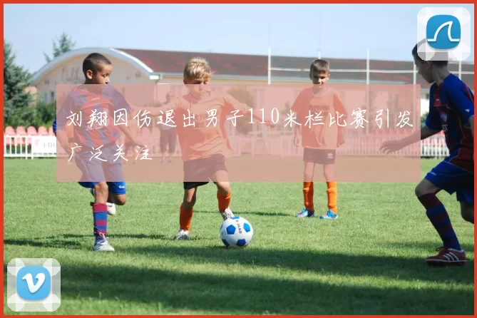 刘翔因伤退出男子110米栏比赛引发广泛关注