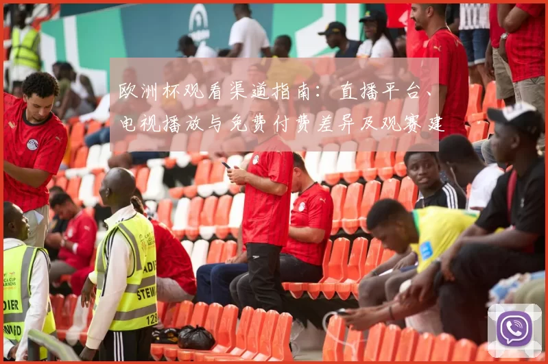 欧洲杯观看渠道指南：直播平台、电视播放与免费付费差异及观赛建议