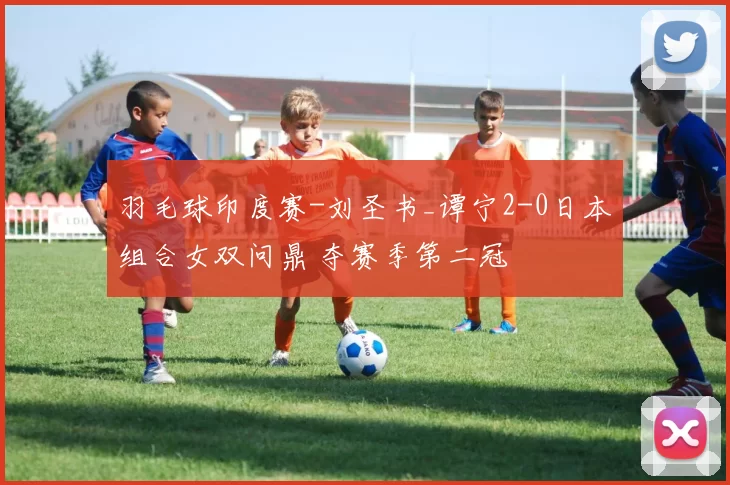 羽毛球印度赛-刘圣书_谭宁2-0日本组合女双问鼎 夺赛季第二冠