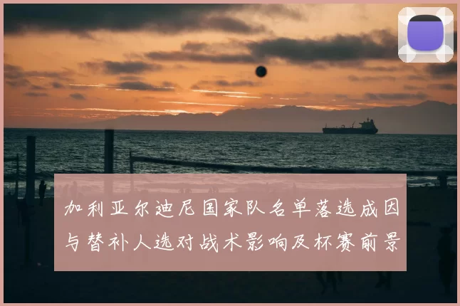 加利亚尔迪尼国家队名单落选成因与替补人选对战术影响及杯赛前景