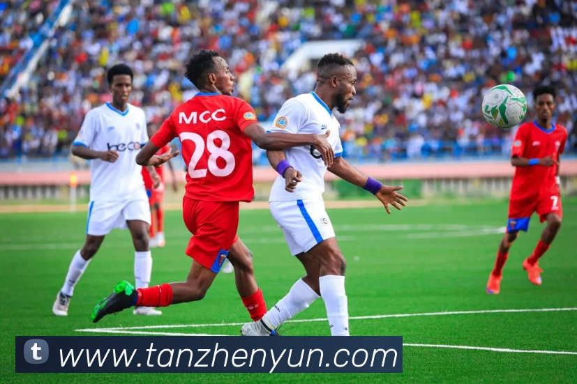 App Interface Preview